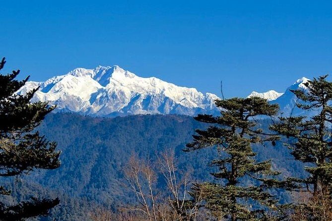 Darjeeling Tonglu Day Trek - Key Points
