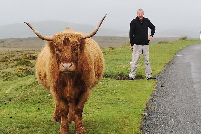 Dartmoor Tour - Authentic Insights from Reviewers