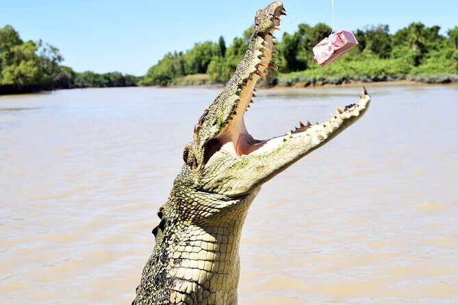 Darwin: Adelaide River Queen Original Jumping Crocodile Cruise - An Honest Look at the Tour Experience