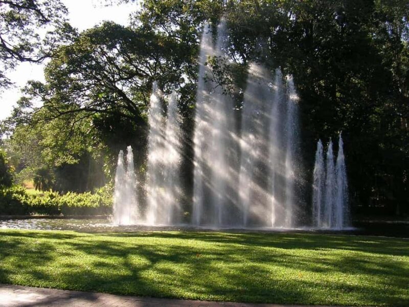 Darwin: City Explorer Bus Tour with Tour Tub - A Genuine Look at the Darwin City Explorer Bus Tour