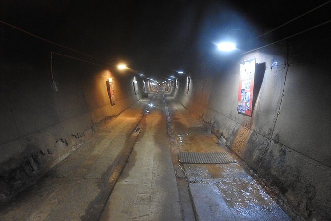 Darwin City Explorer Tour - Who Will Love This Tour?