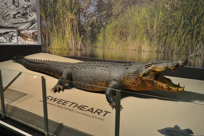 Darwin City Explorer Tour - FAQ