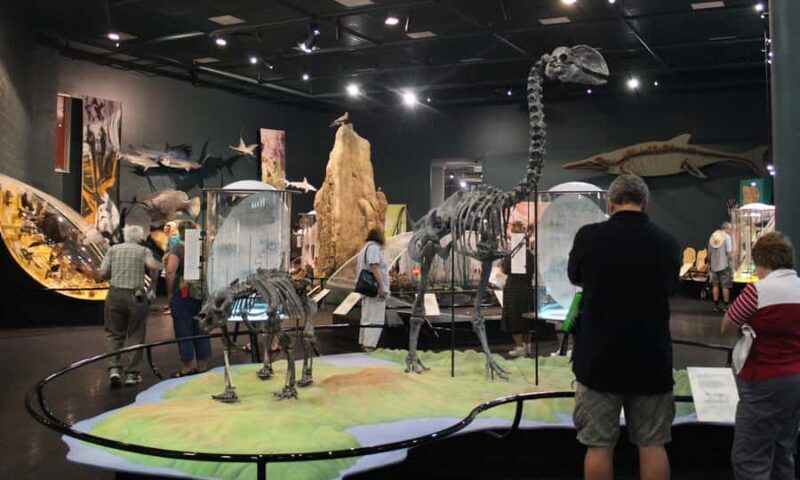 Darwin: City Sights and Jumping Crocodile Cruise - Discovering Wetlands and Ecosystems