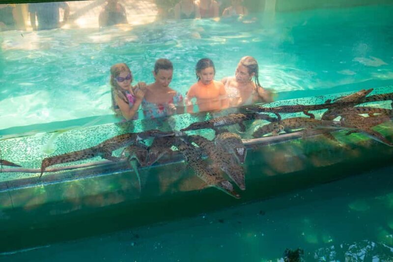 Darwin: Crocosaurus Cove Entry & Hop-on-Hop-Off Bus Tour - Final Thoughts