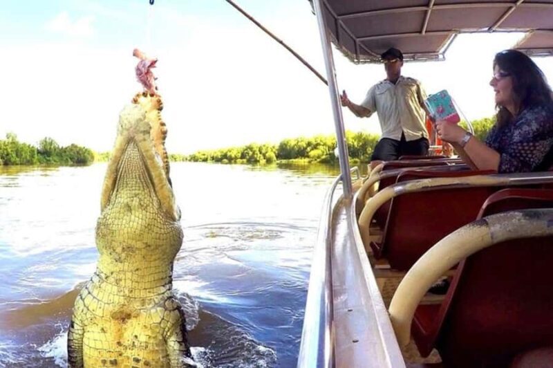 Darwin: Jumping Crocodile Adventure Cruise with Lunch - Final Thoughts: Who Will Love This Tour?