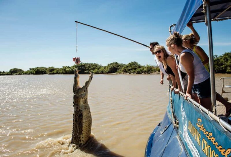 Darwin: Jumping Crocodile River Cruise with Shuttle Bus - An In-Depth Look at the Crocodile Adventure