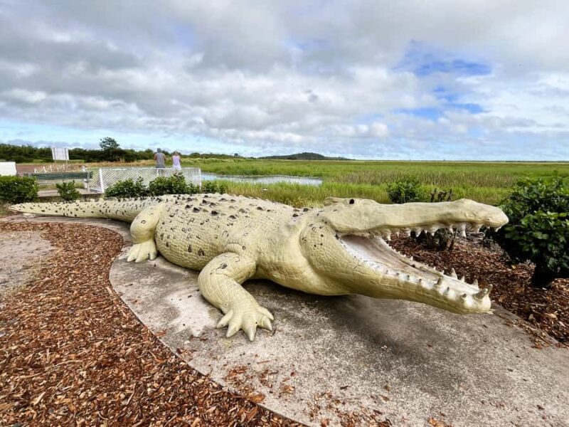 Darwin: Jumping Crocodile River Cruise with Shuttle Bus - Final Thoughts: Is It Worth It?