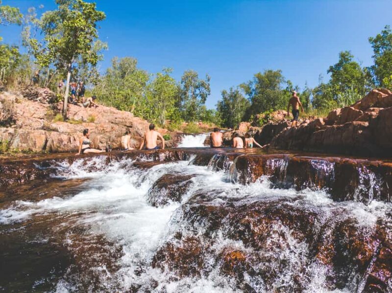Darwin: Litchfield National Park Waterfalls & Wildlife Tour - Starting Point and Transportation