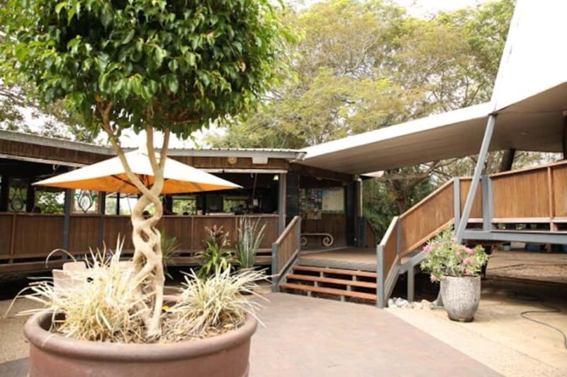 Darwin: Pathfinder Original Jumping Crocodile Cruise - An Authentic Look at the Adelaide River Crocodiles