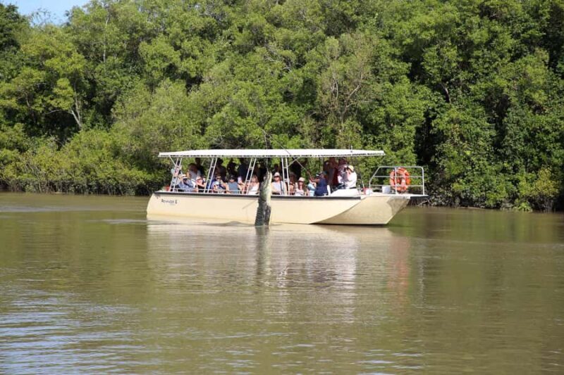 Darwin: Pathfinder Original Jumping Crocodile Cruise - The Experience of Seeing Crocodiles Up Close