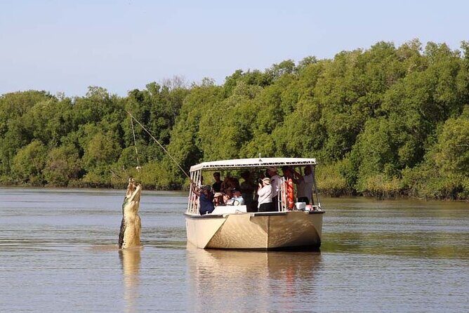 Darwin: Pathfinder Original Jumping Crocodile Cruise - Key Points