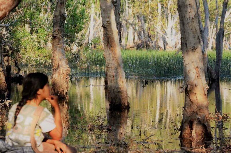 Darwin: Premium Litchfield Regional Small Group Day Tour - Key Points