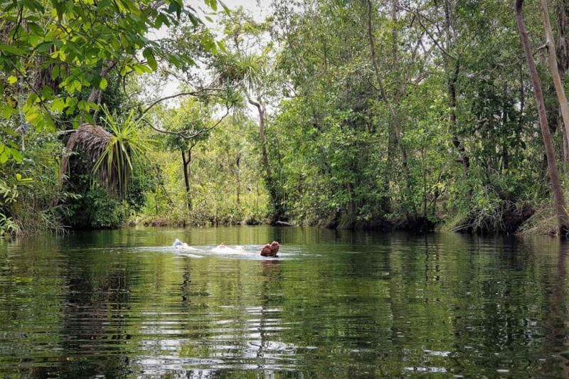 Darwin: Premium Litchfield Regional Small Group Day Tour - Who Should Consider This Tour?