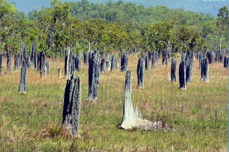 Darwin: PRIVATE Litchfield Park Sub-Tropical Escape - Who Is This Tour For?