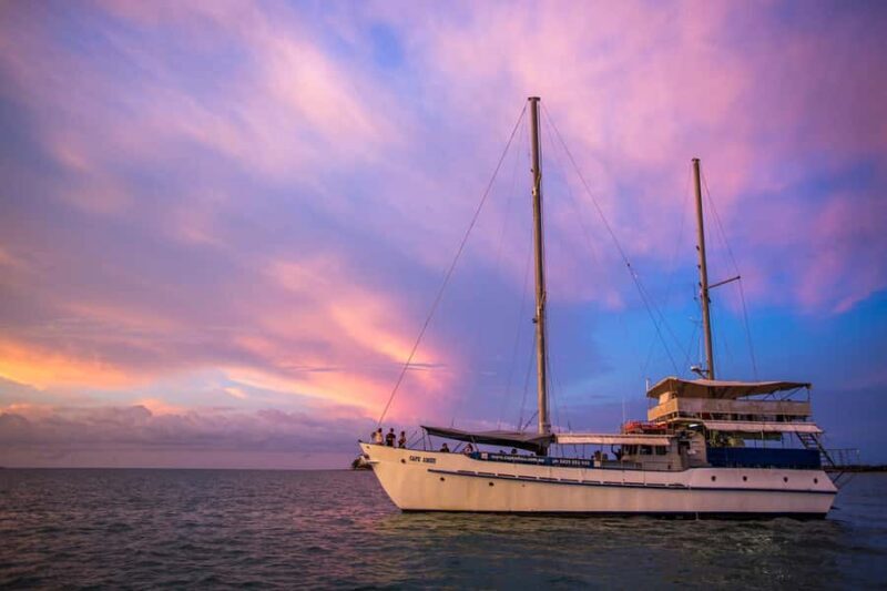 Darwin: Signature four course Sunset Dinner Cruise - Exploring the Cruise: A Deep Dive