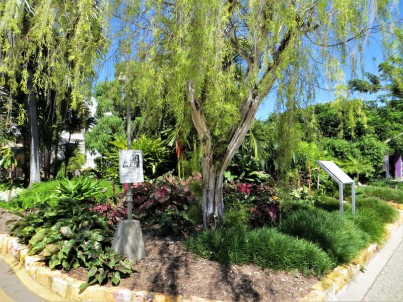 Darwin: Small Group 2-Hour Heritage Walk - Discovering Darwin Through Your Own Feet