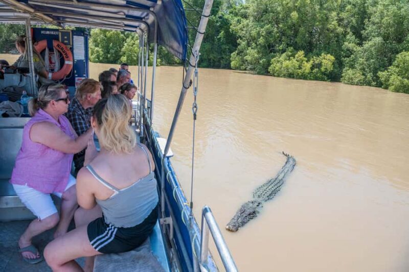 Darwin: Spectacular Jumping Crocodile Adelaide River Cruise - Final Thoughts: Who Is This Tour For?