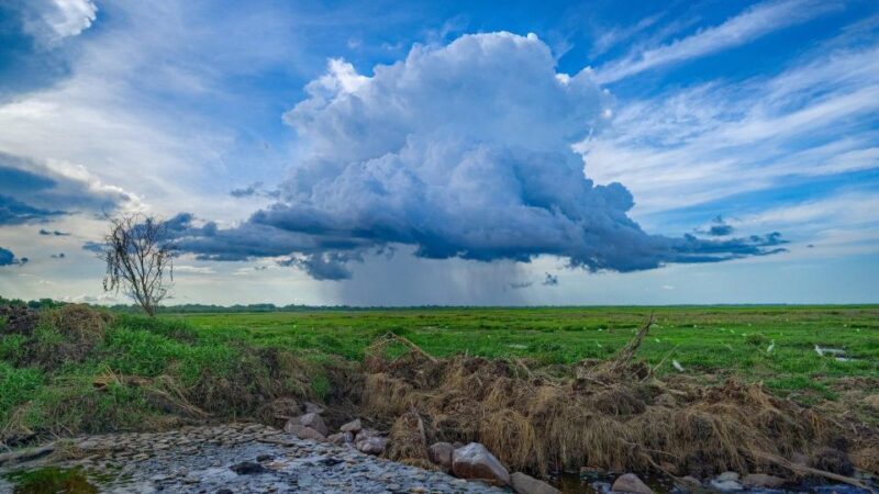 Darwin: The Croc Bus to the Famous Jumping Crocodile Cruise - Overall Tour Duration and Value