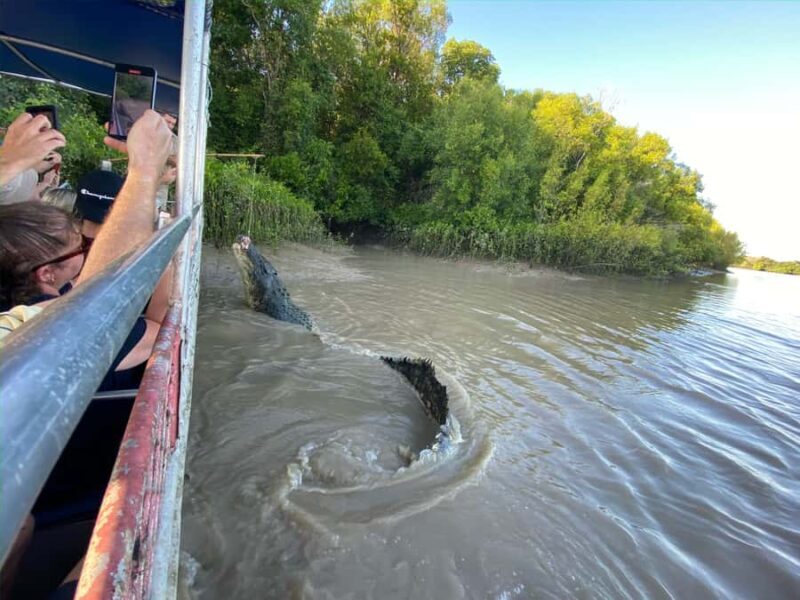 Darwin: The Croc Bus to the Famous Jumping Crocodile Cruise - Authentic Experiences and Honest Feedback