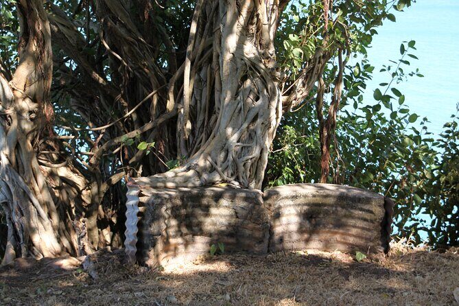 Darwin Walking Tour: World War II Reflections - An In-Depth Look at the Tour Experience