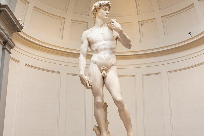 David Accademia Gallery Vip Guided Tour With Skip The Line Entry - Key Points