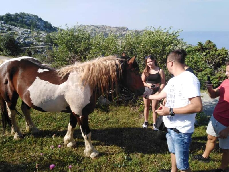 Dawn on the top of Biokovo - Authentic Traveler Experiences and Insights