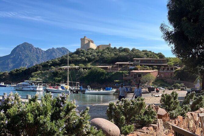 Day at Scandola and Calanques de Piana in a small group - Who Should Consider This Tour?