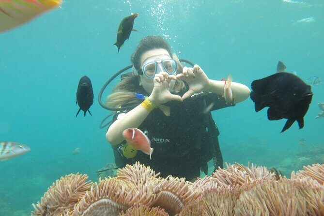 Day Cruise Exploring Nha Trang BayNha Trang - Exploring Nha Trang Bay by Day Cruise: A Detailed Look