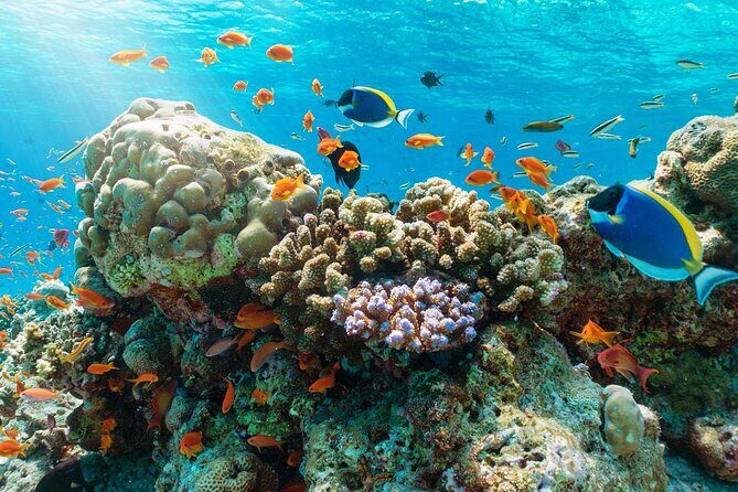 Day Cruise Exploring Nha Trang BayNha Trang - Who Is This Tour Best Suited For?
