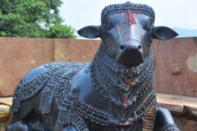 Day Excursion To The Unique Ramappa Temple From Hyderabad - Practical Aspects of the Tour