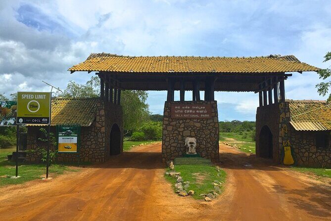 Day Excursion to Yala National Park From Colombo - Key Points