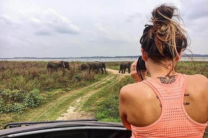 Day Excursions to Minneriya National Park Safari From Negombo - Final Thoughts: Is This Tour Right for You?