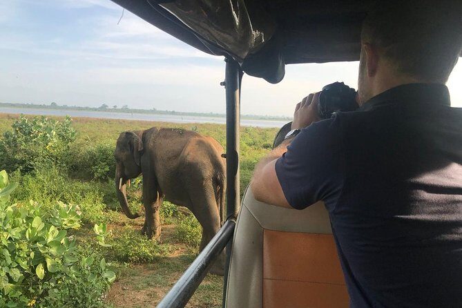 Day Excursions to Udawalawe From Bentota - FAQs