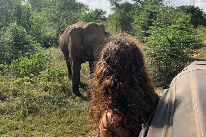 Day Excursions to Udawalawe from Bentota - The Real Value of This Tour