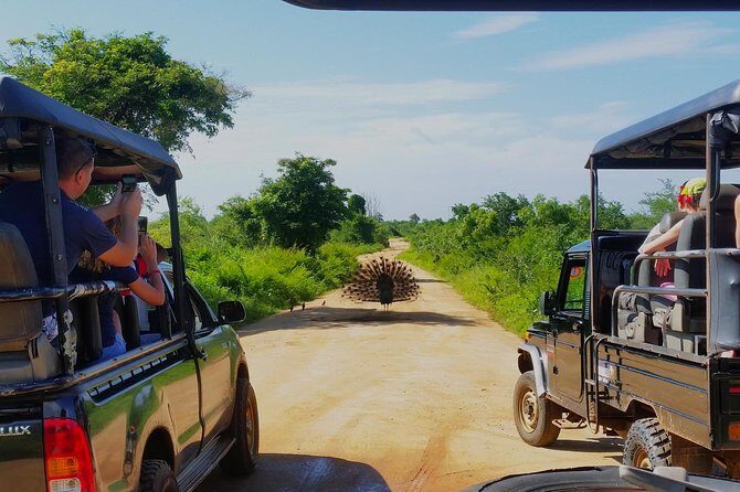 Day Excursions to Udawalawe from Bentota - Who Is This Tour Best For?