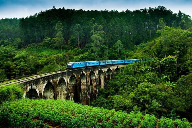 Day Excursions to Wilpattu National Park from Negombo - Who Should Consider This Tour?