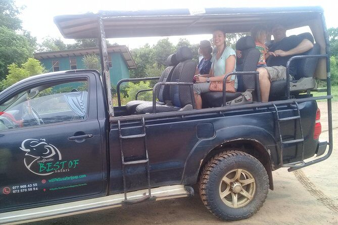 Day execution trincomalee to Wild safari willpattu national park - An In-Depth Look at the Wilpattu Safari Experience