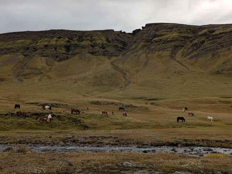 Day Hike to Grimannsfell: Waterfall & Legacy - moderate - Key Points