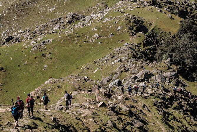 Day Hike to Triund - Who Should Book This Tour?