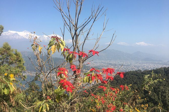 Day Hiking from Sarangkot to World Peace Pagoda from Pokhara - The Sum Up
