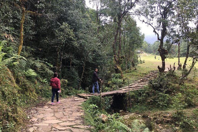 Day hiking to Dhampus - Astam Village - Authentic and Informative Reviews