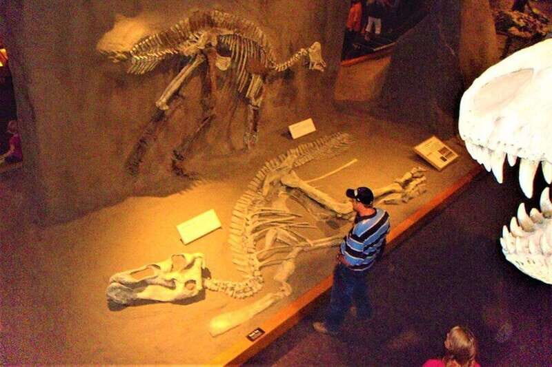 Day of Dinosaurs and Hoodoos From Calgary to the Badlands - Introduction: A Day Packed with Wonders from Calgary