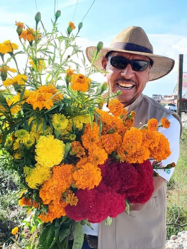 Day of the Dead in Oaxaca: Cultural Tour with a Zapotec Guide (Nov 1 to 3) - Authenticity and Ratings