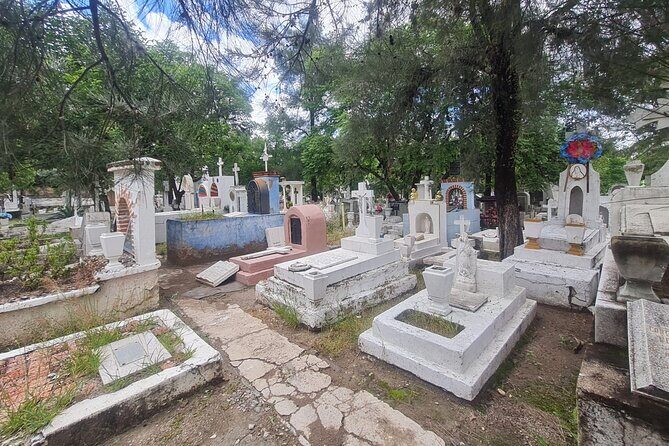 Day of the Dead Walking Tour in San Miguel de Allende - FAQs