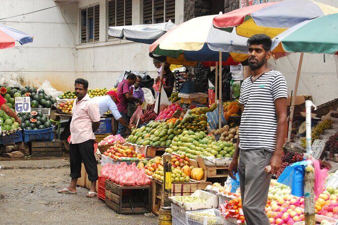 Day out to Galle[Stilt Fishing. Turtle watching.Cinnamon Farm] - Exploring the Itinerary: What You Can Expect