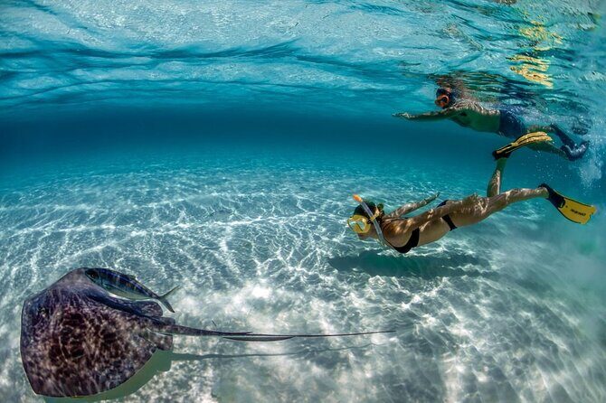 Day Pass To Cozumel Snorkeling By Boat - An In-Depth Look at the Cozumel Snorkeling Experience