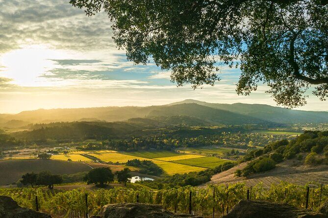 Day Private Russian River Valley Wine Tour from San Francisco - A Closer Look at the Russian River Valley Wine Tour