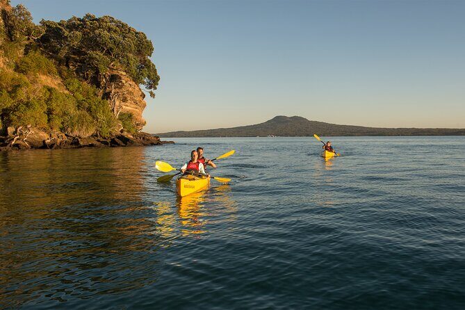 Day sea kayak tour Rangitoto Island - Key Points