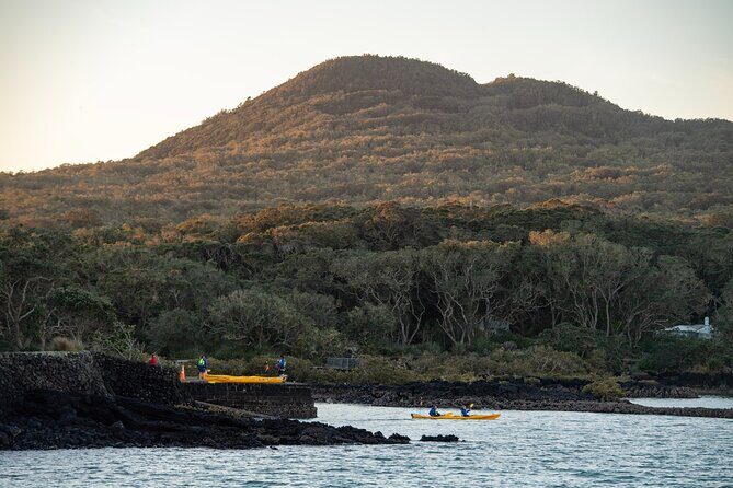 Day sea kayak tour Rangitoto Island - FAQ