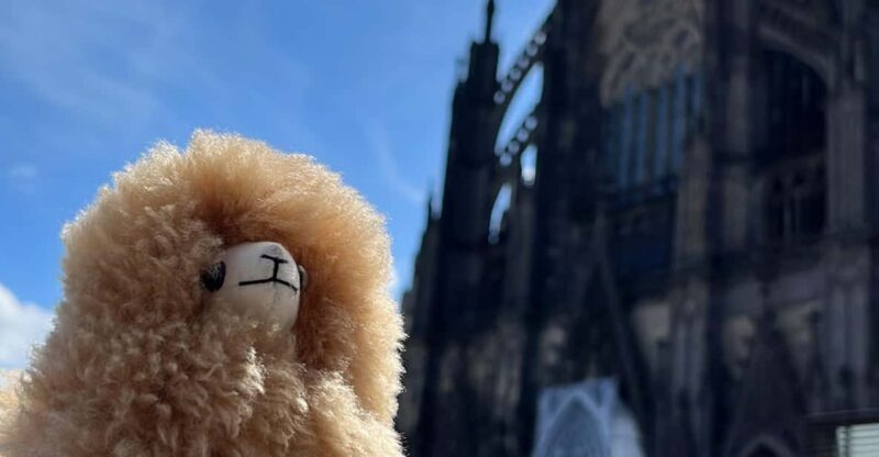 Day tour Aachen & Cologne from Brussels - Exploring Aachen: A Step Back in Time